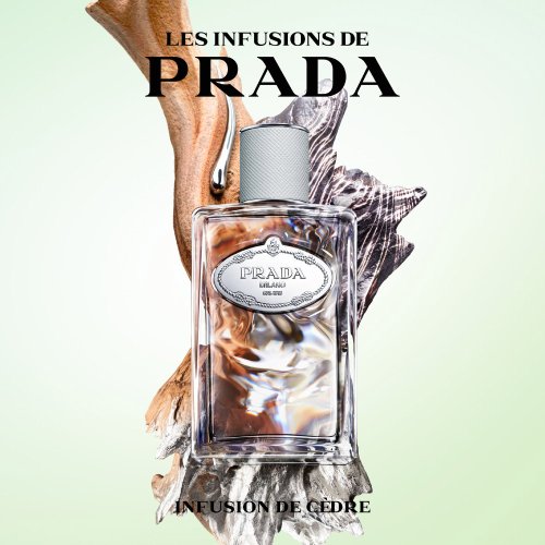 PRADA PARFUM Zedern-Infusion - Eau de Parfum 8435137743223